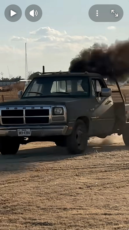Mad Dawg Motors
